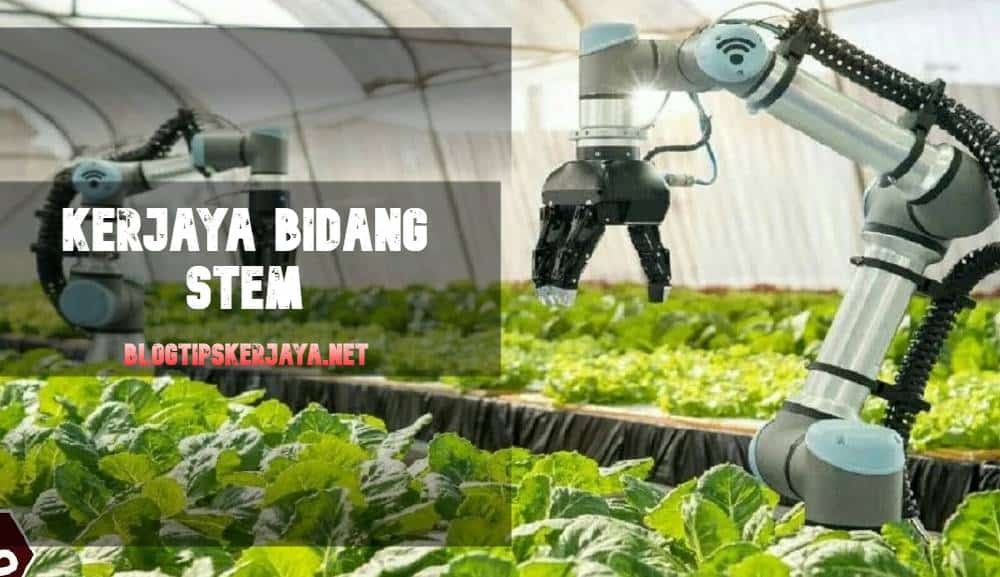 kerjaya bidang stem
